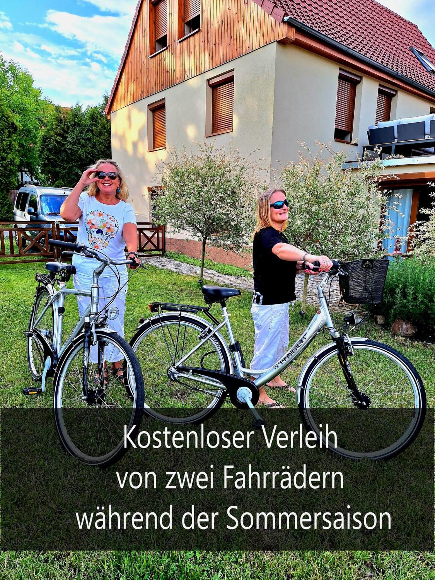 Ferienwohnungen Haselhuhn Hartau Buitenkant foto